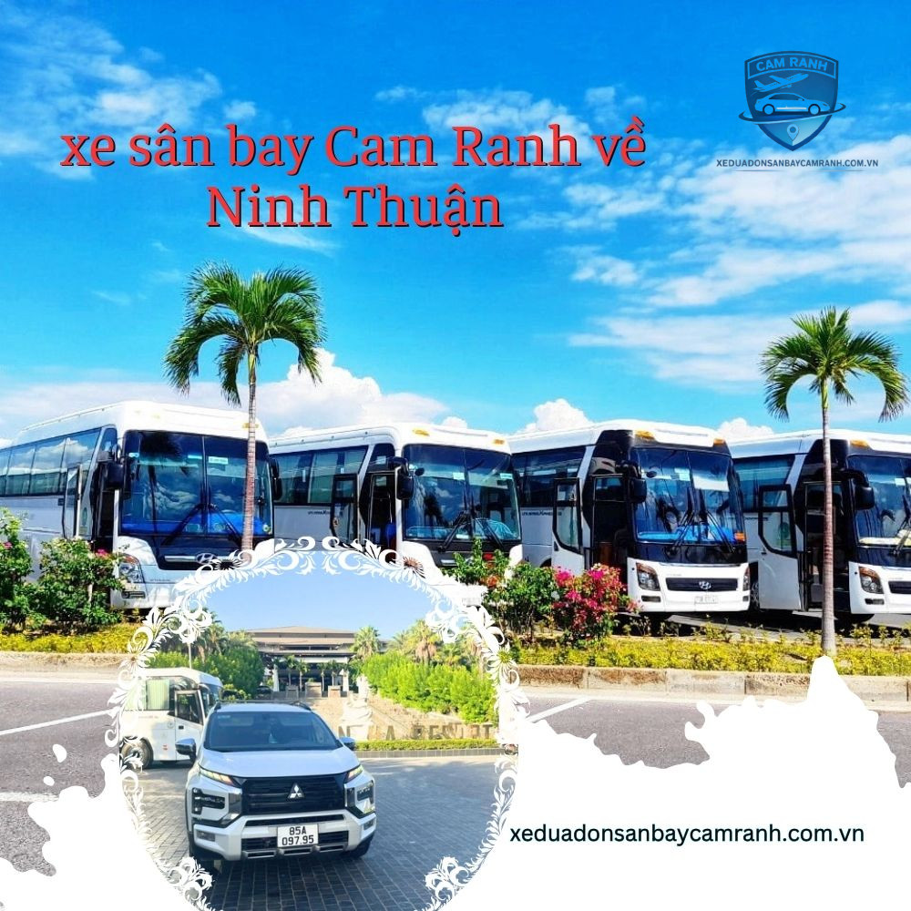 lựa chọn xe taxi và thuê xe sân bay Cam Ranh đi Phan Rang cái nào hơn?