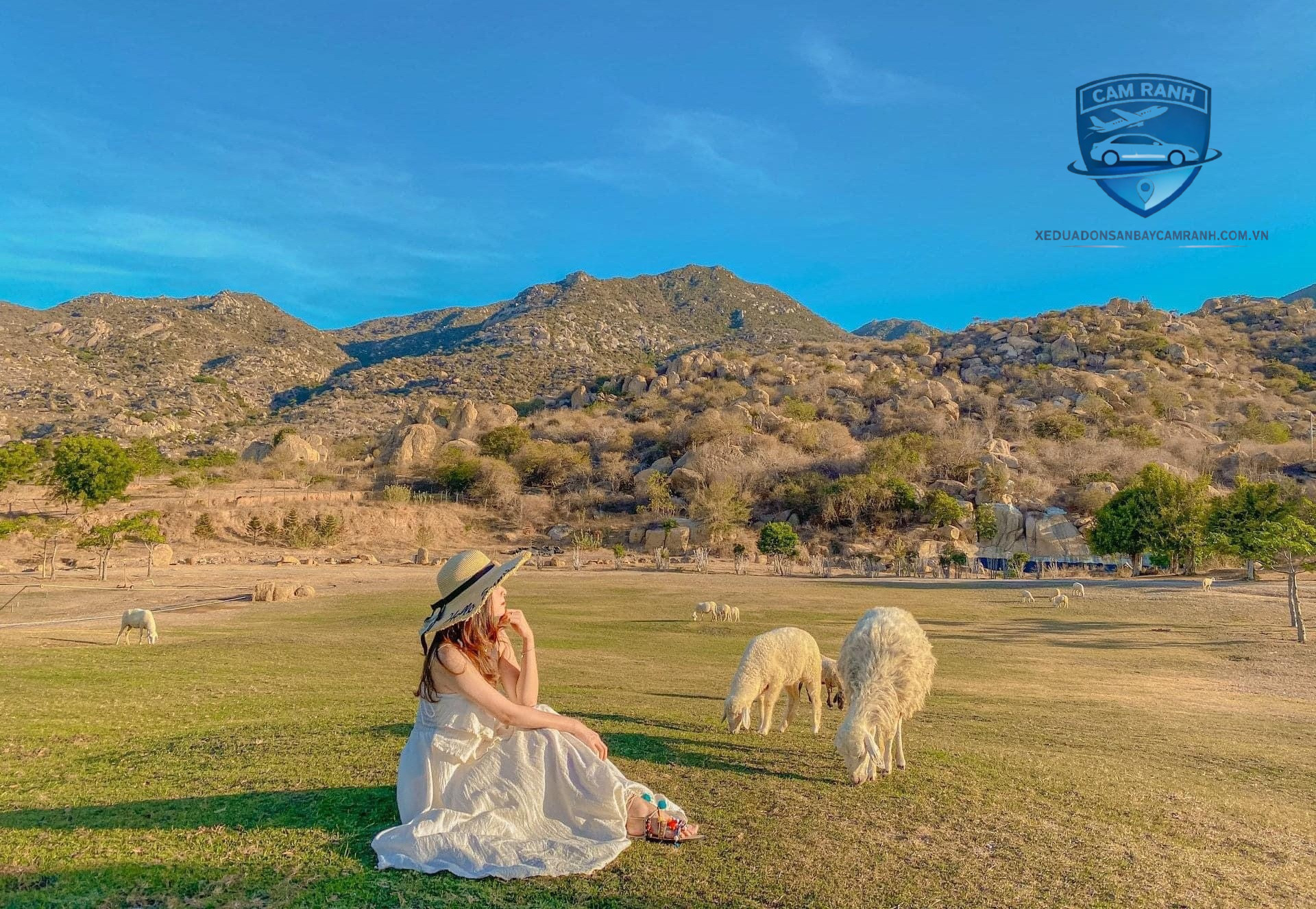 tour du lịch Ninh Thuận trong ngày